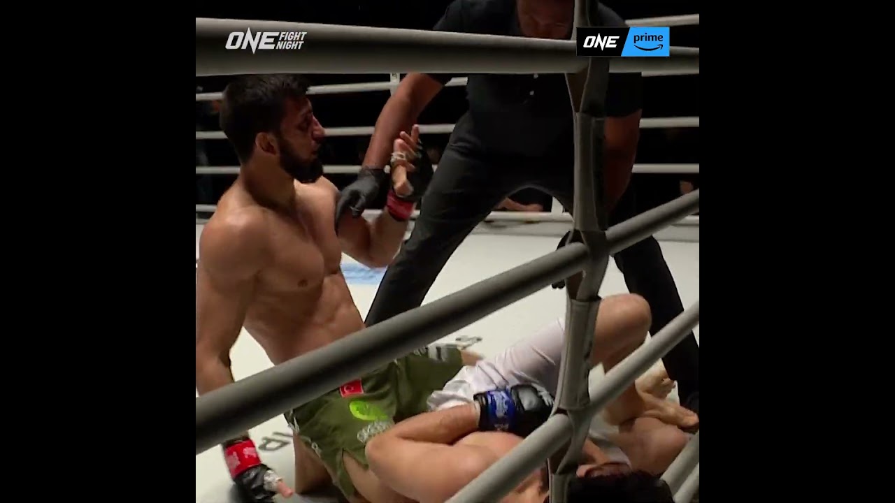 Halil Amir pummels Ahmed Mujtaba to force a referee stoppage after Round 1! 💥