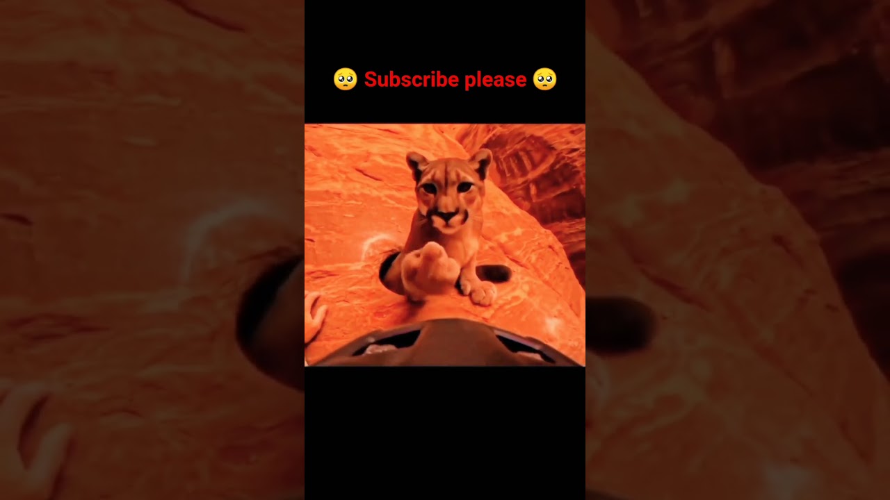 ff love subscribe please 🥺😭🙏🥺🥺 
