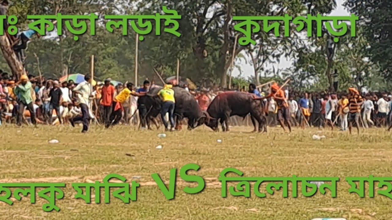 KUDAGARA 3NO KARA LORAI🙏 FIGHT IS INJURIOUS TO HEALTH. বিজয়ি কমিটী