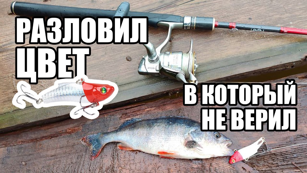 ВИБ снова делает результат. Обожаю эту приманку. Щука капризничает. Спиннинг в Нижегородской области