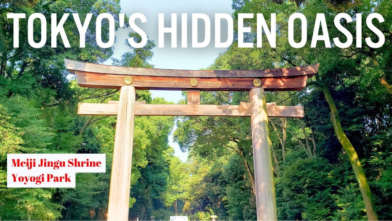 Tokyo&rsquo;s Best Nature Walk: Meiji Jingu Shrine & Yoyogi Park Hidden Secrets