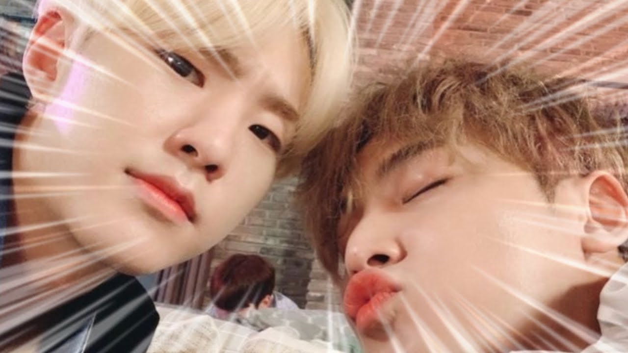 ♨️만나면 싸우는 호시민규 모음🐯🐶💥[세븐틴]