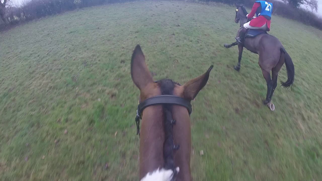 Yeomanry Race 2019 - King Koda - 6th Place