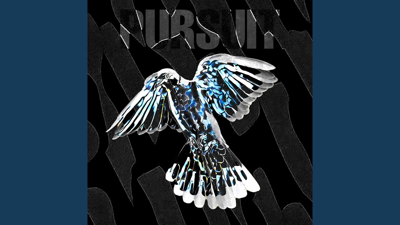 Pursuit