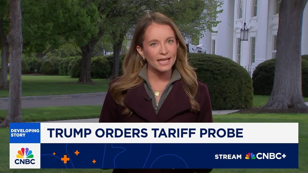 Trump orders tariff probe to examine whether critical minerals imports harm national security