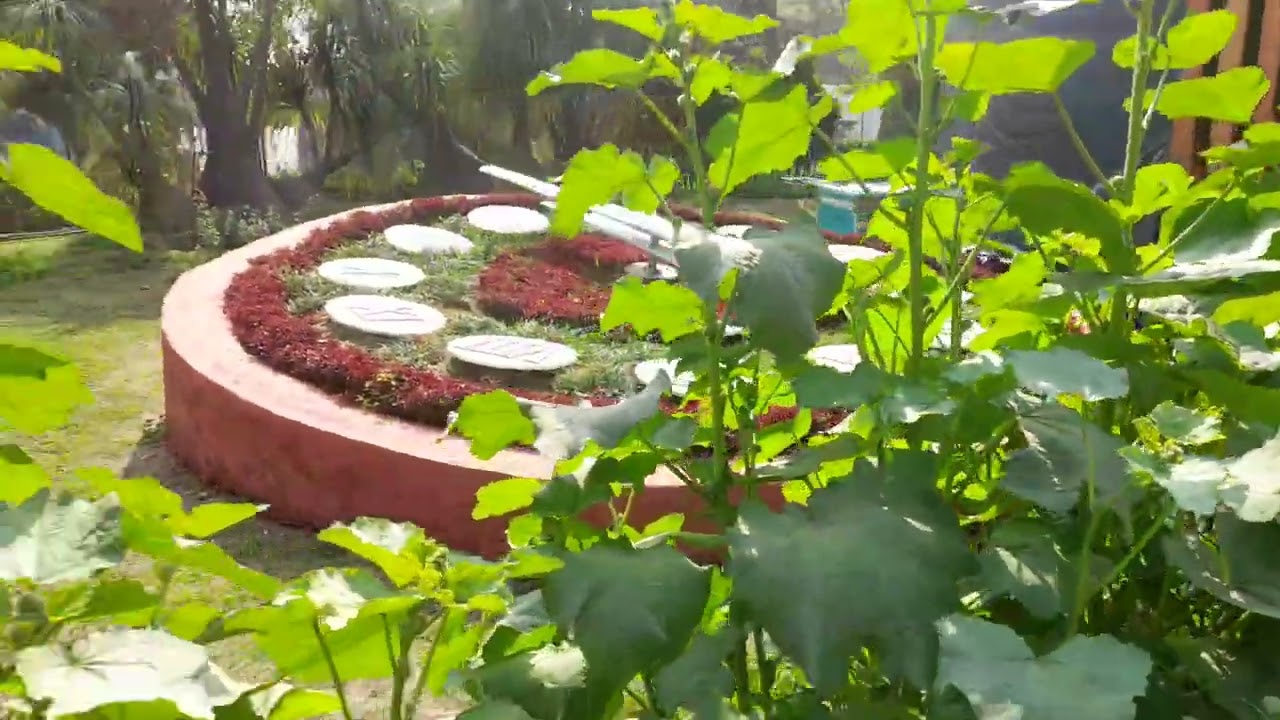 Mugal garden (part 3)