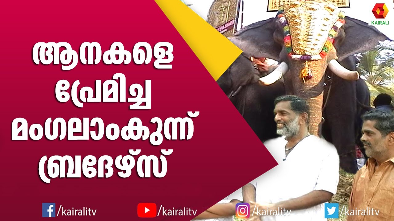 ആരെയും മയക്കിയിരുന്ന  മംഗലാംകുന്ന് ഗണപതി | Mangalamkunnu Ganapthi | Elephants | Kerala