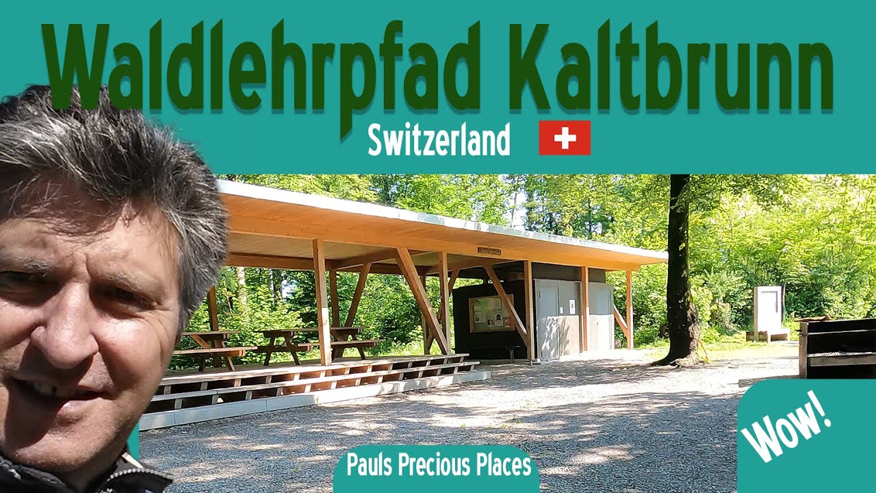 Natur pur! - Waldlehrpfad Kaltbrunn-Benken