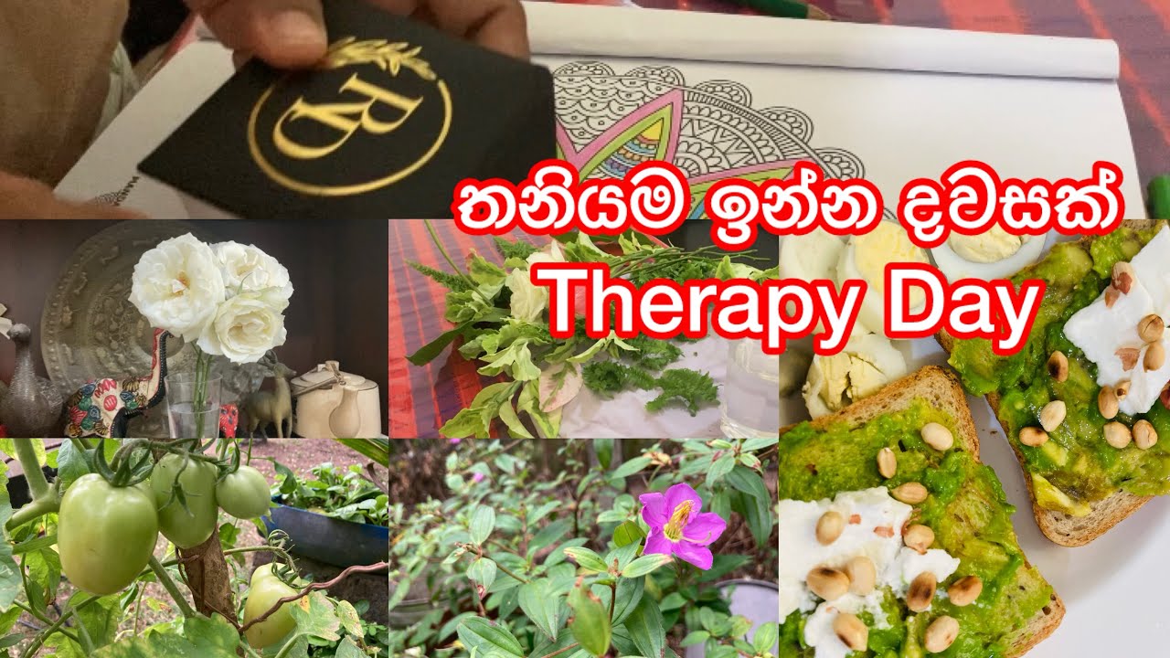 තනියම ගෙවුනු සති අන්තෙ දවසක්