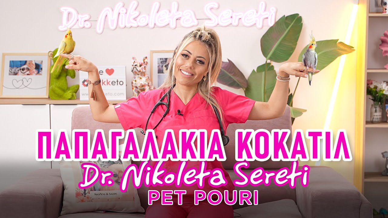 Dr. Nikoleta Sereti - Γνωρίστε τα παπαγαλάκια Κοκατίλ!