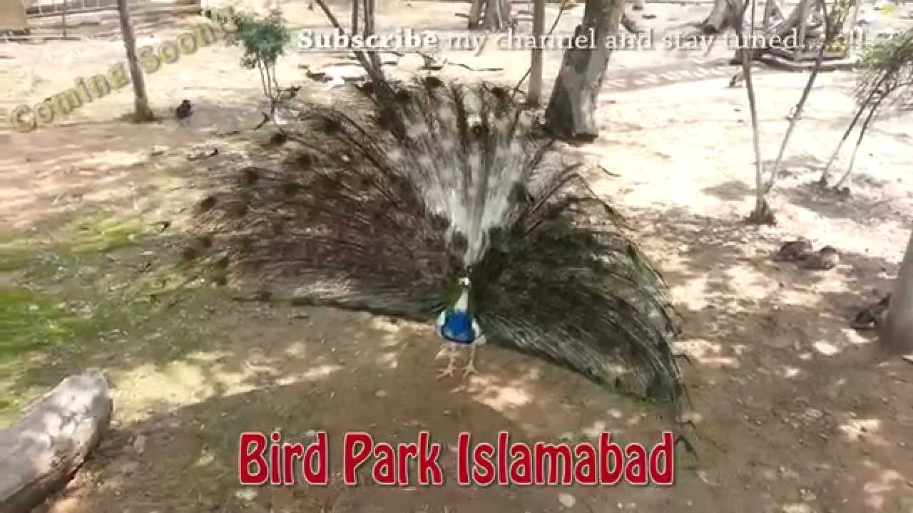 Coming soon on Sights and Sounds of Pakistan