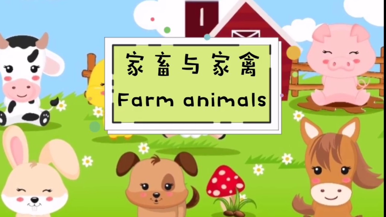 家畜与家禽 Farm animals (Prasekolah SJKC)