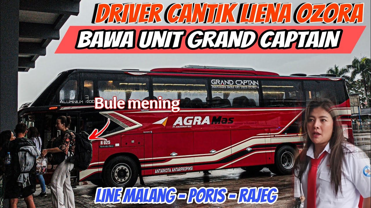 Driver cantik Liena Ozora sekarang bawa agra mas Grand captain line malang - Rajeg