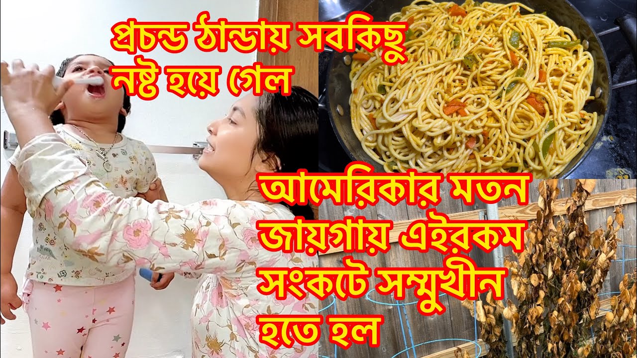 আমেরিকার মত জায়গায় এইরকম সংকটে সম্মুখীন হতে হল/প্রচন্ড ঠান্ডায় সবকিছু নষ্ট হয়ে গেল@Riyausa