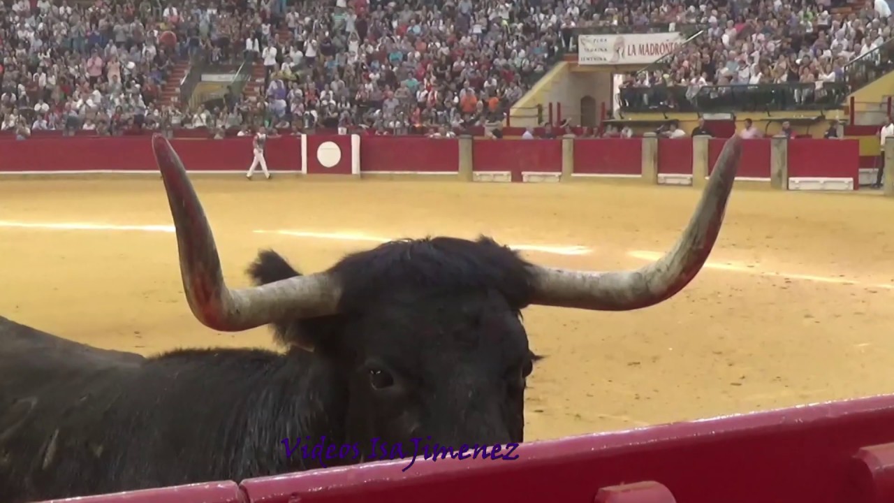 Concurso de recortadores Zaragoza - 13/10/2019 - David Diago y Chus Zaldivar - HD