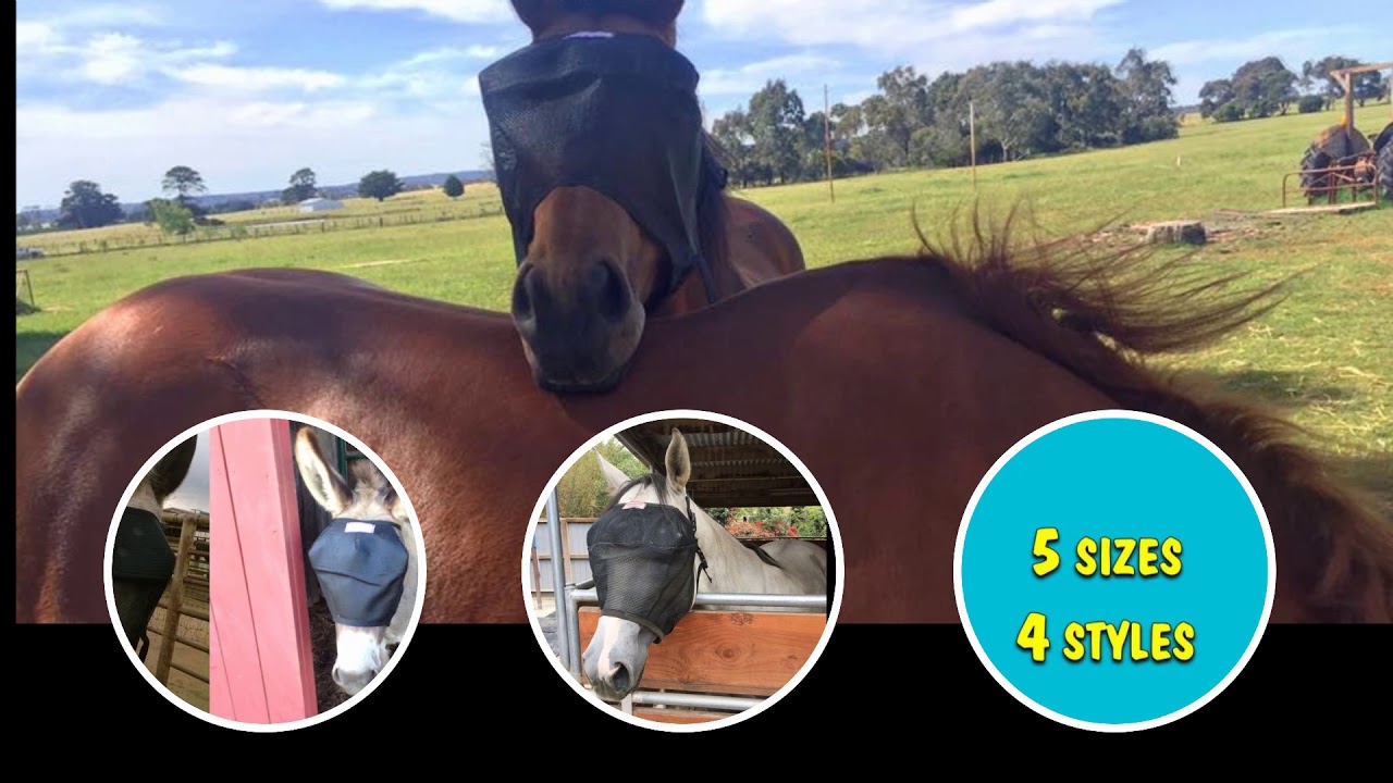 EquiVizor UV Fly Mask for Horses Product Promo