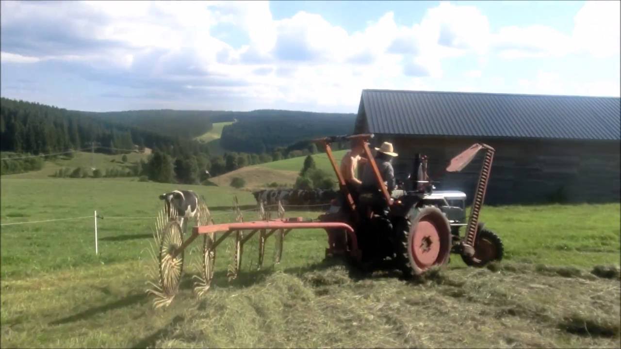 Schwaden mit LANZ BULLDOG D1616 und Bautz Heuma (Spinne)