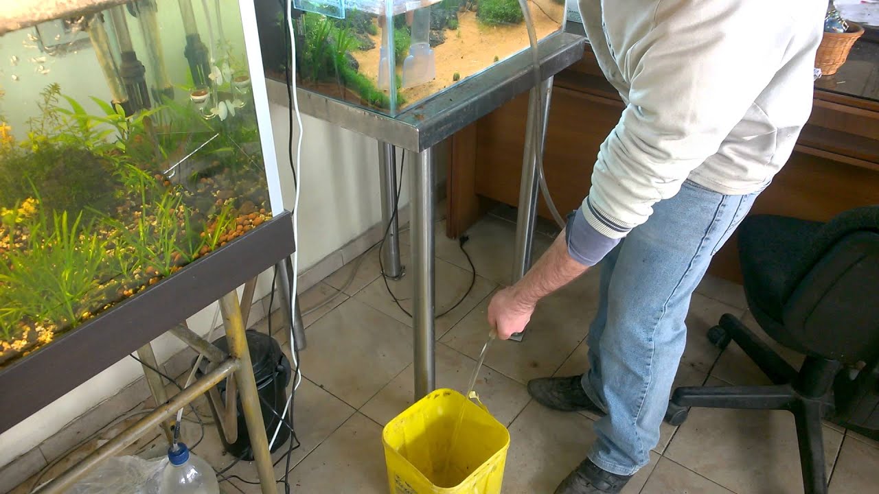 Cambio d'acqua in acquario sifonatura