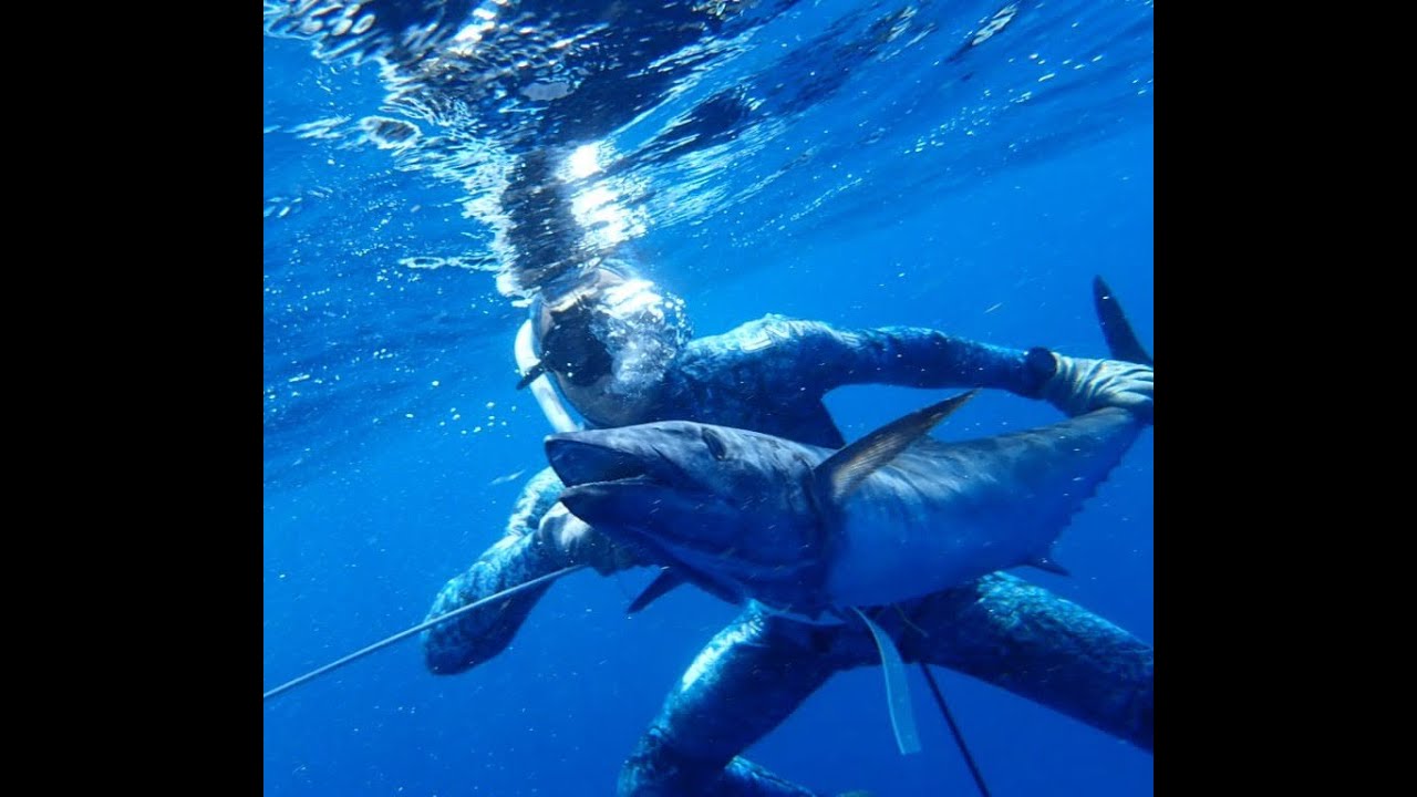 Pêche Sous-Marine Guadeloupe Mai 2025