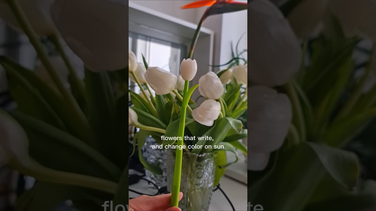 flower pen changes color on sun 🌞 NikiMoran haul 