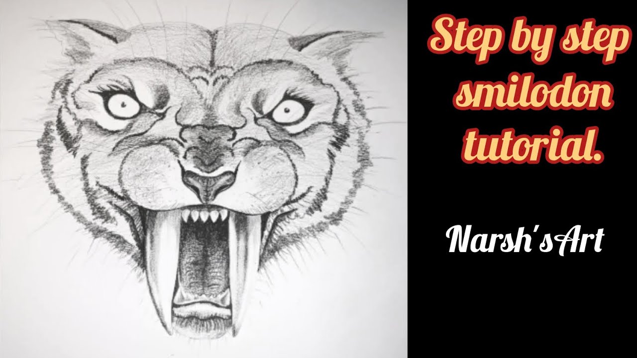 How to draw a sabre tooth tiger face