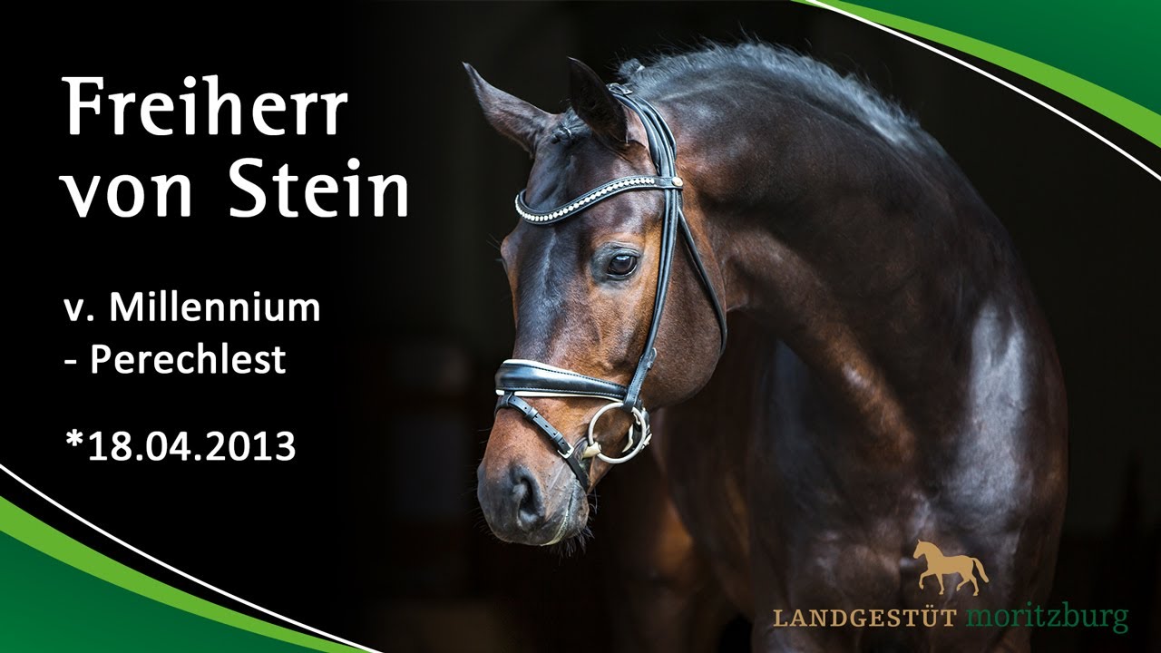 FREIHERR VON STEIN v. Millennium - Perechlest