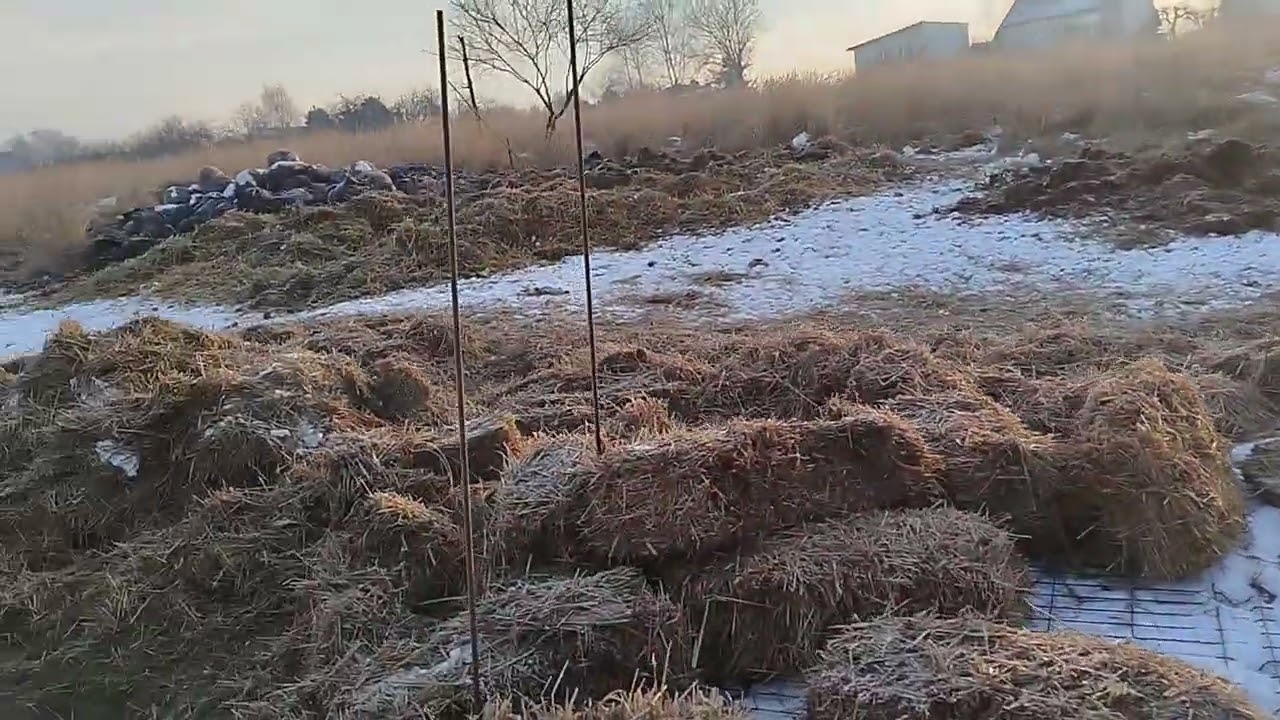 Pole Szarotki 2026.01.06 