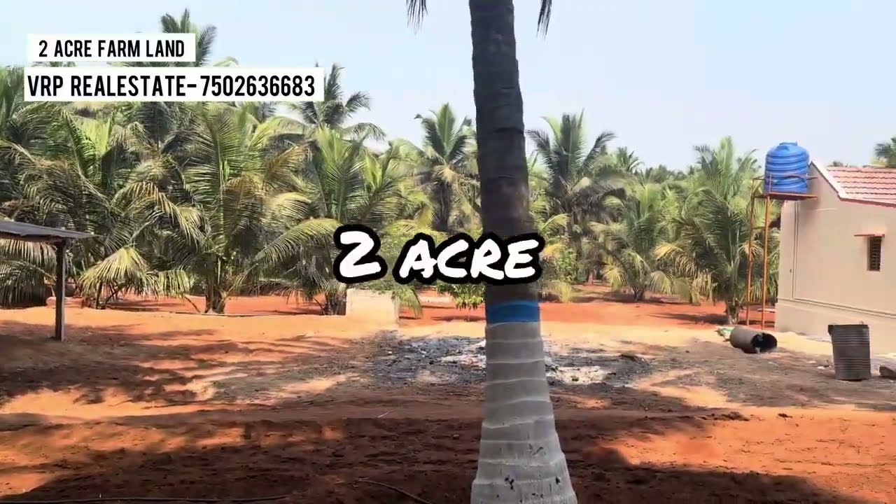 பண்ணை வீடுடன் உள்ள தென்னந்தோப்பு🌴 விற்பனைக்கு 🤩| மொத்தம் 2 ஏக்கர்| 👉🏻contact no : 7502636683