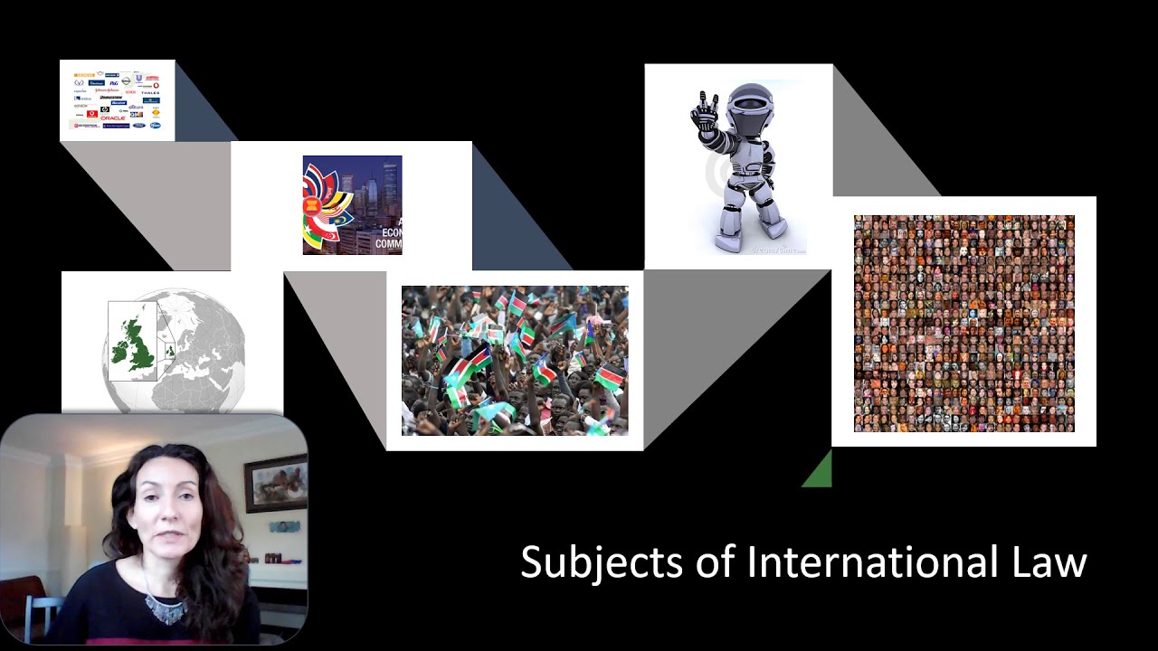 11. International Law Course. Legal Personality (1) Introduction