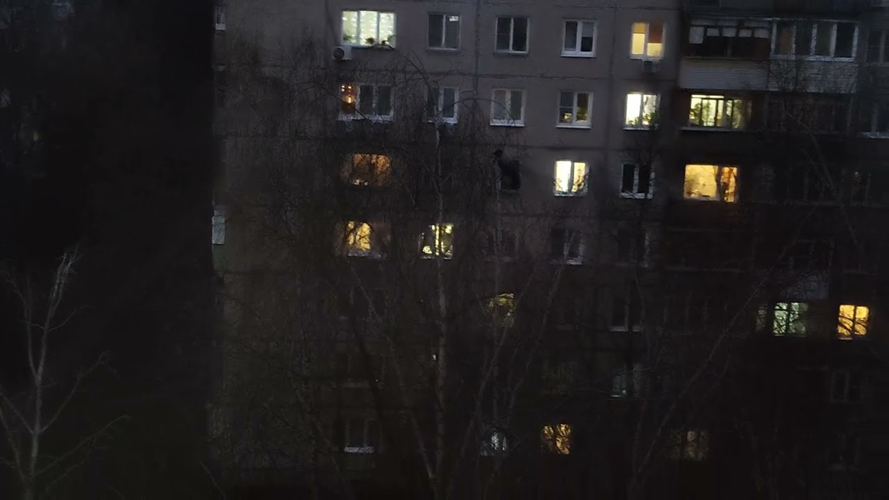 Влог вид из окна 30 11 2025 года👍🐦