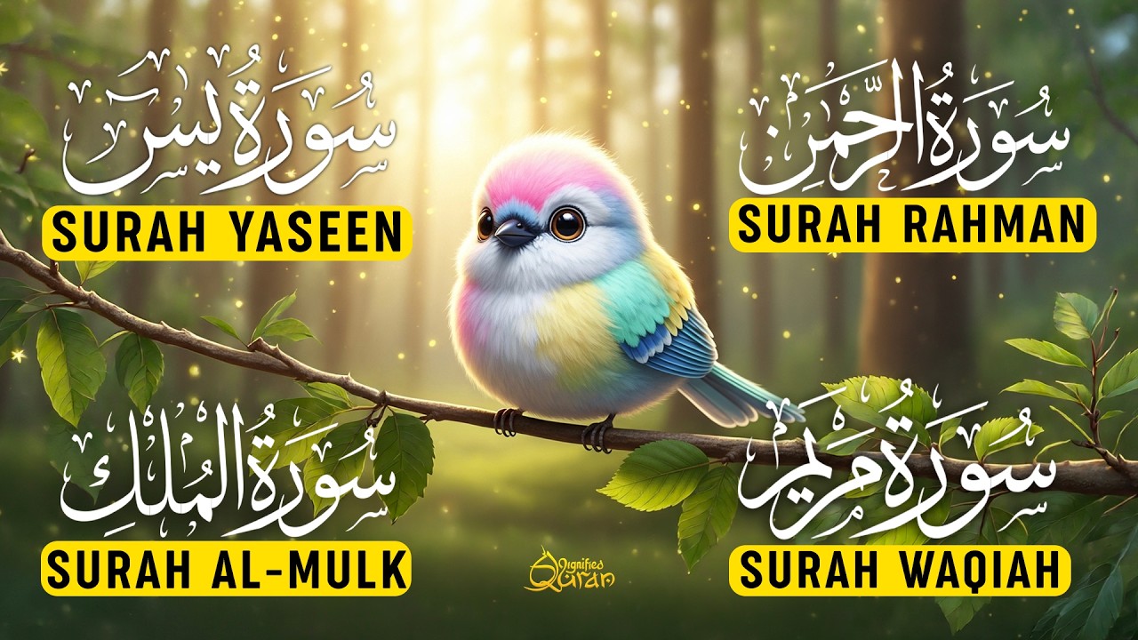 Magical Quran of Surah Yaseen | Surah Rahman | Surah Waqiah | Surah Mulk | Alaa Yaseer | EP05
