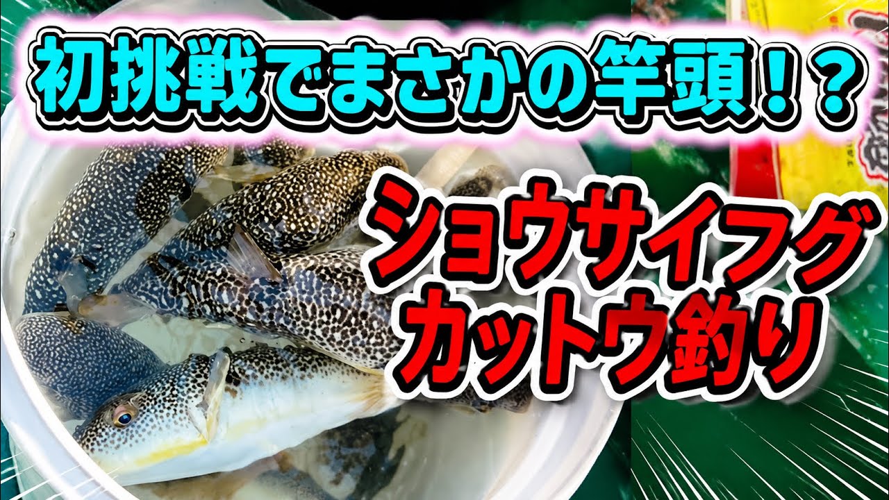 【外房】カットウ釣りで竿頭を取る裏技...in大原港秀丸