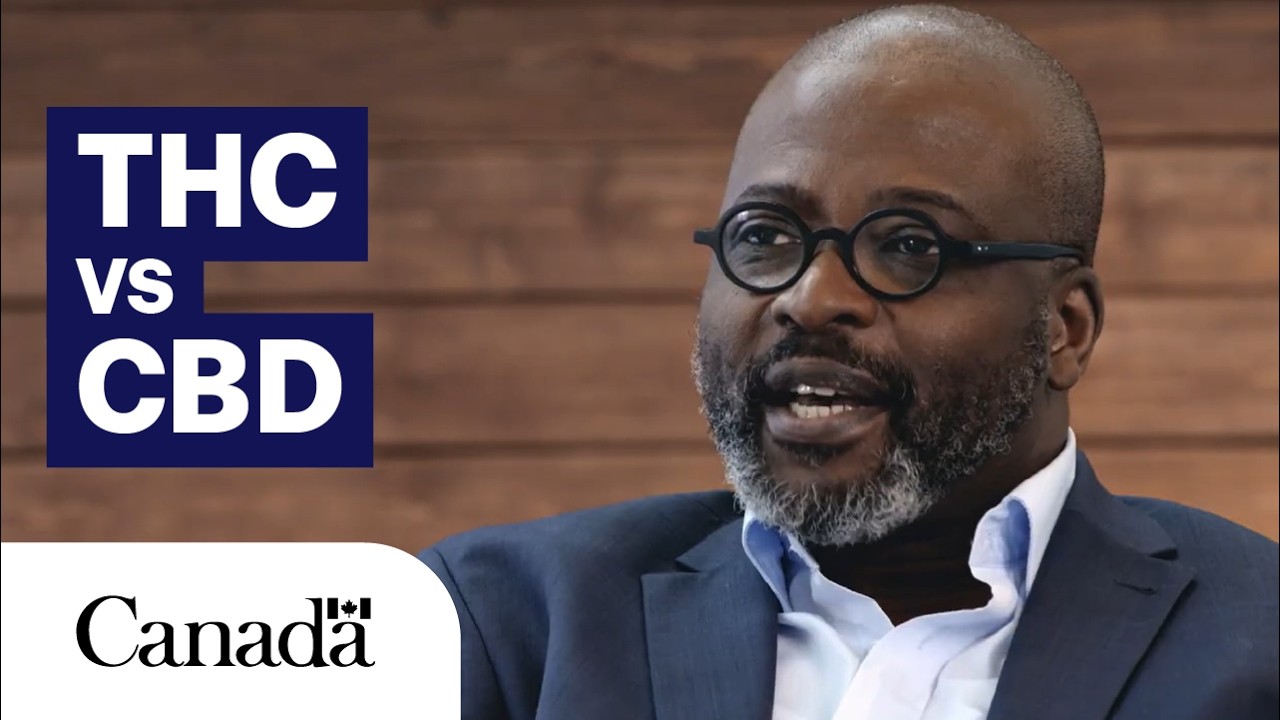 THC vs CBD: What&rsquo;s the Difference?