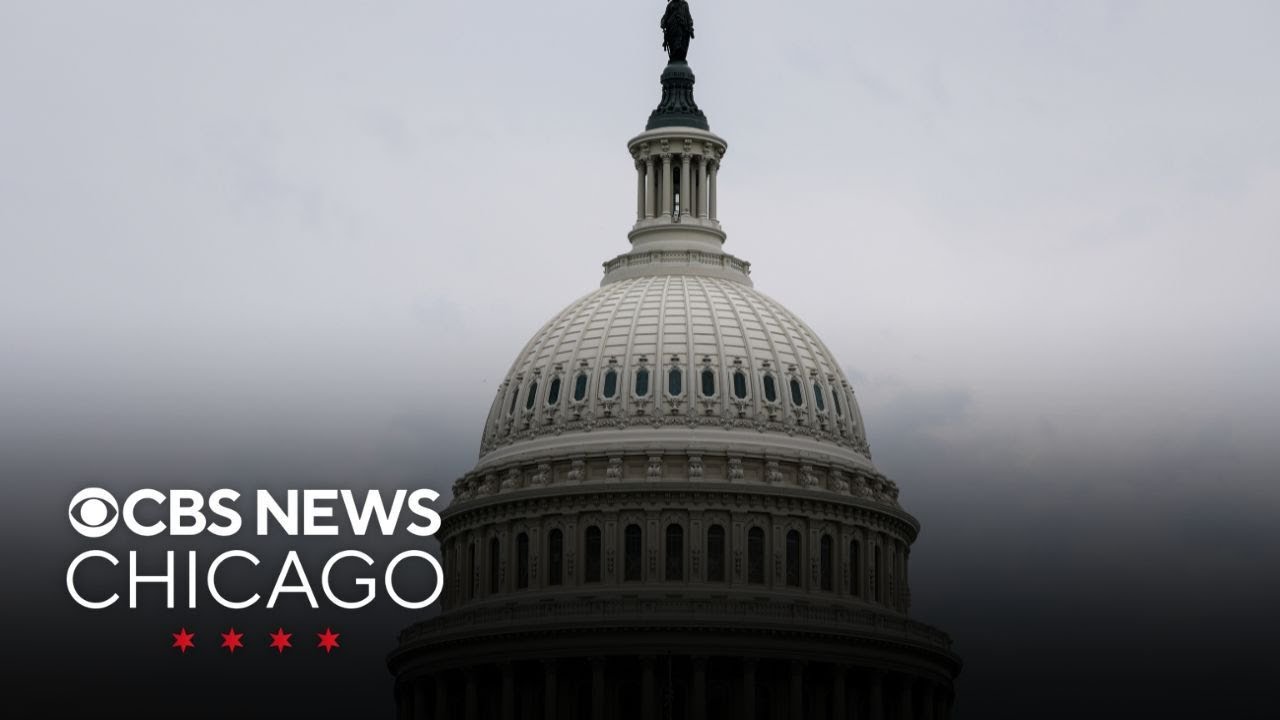 Who's raising the most money in Illinois congressional races?