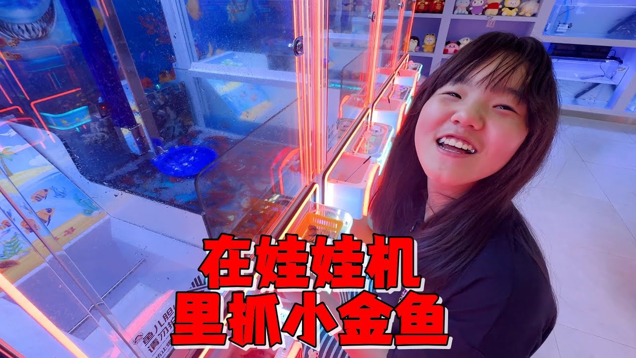 太会玩了，娃娃机还可以抓金鱼，艾米花77元买240币试试水