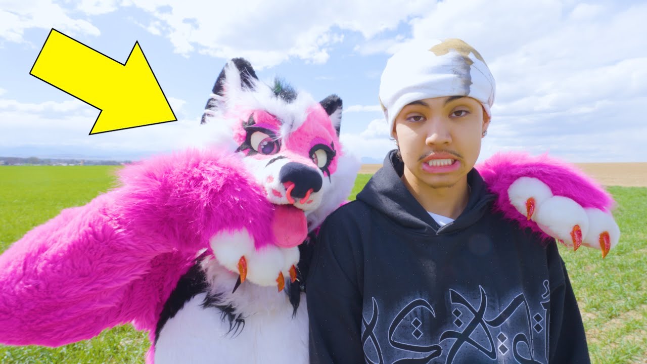 Surviving 24 Hours with A Furry...