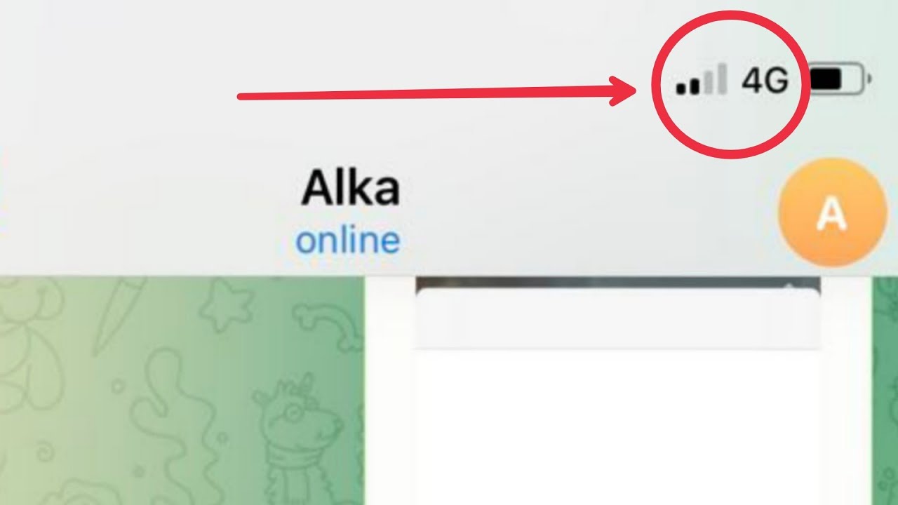 iPhone || How To Fix 4G Network Not Working || E Network Problem Solve In iOS