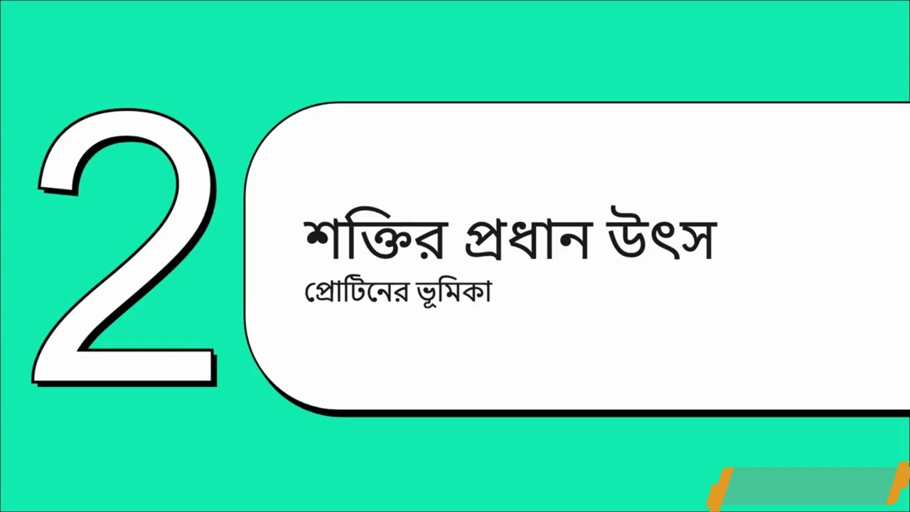 ডিম খাওয়ার উপকারিতা Benefits of eating eggs