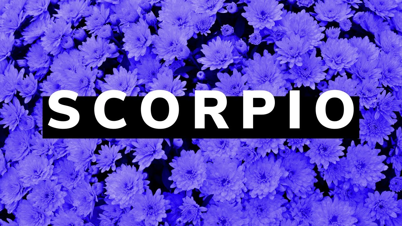 SCORPIO | they're going to try and prove themselves to you (tarot reading)