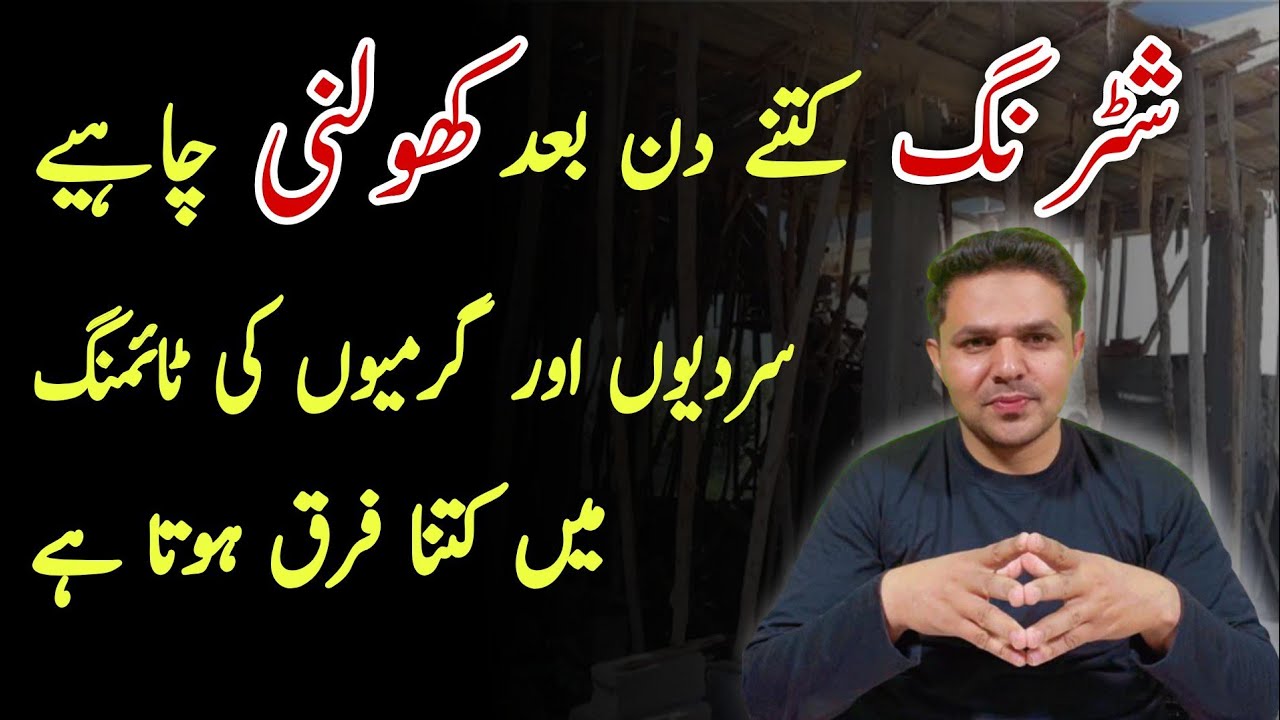 Shuttering Removal Time for slab | Lenter ki Shuttering Kitny Din Bad kholni Chahye