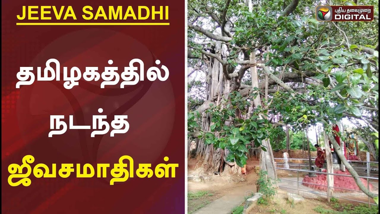 தமிழகத்தில் நடந்த ஜீவசமாதிகள் | Jeeva Samadhi Siddhargal Story | Tamil News | Irulappa swamy history