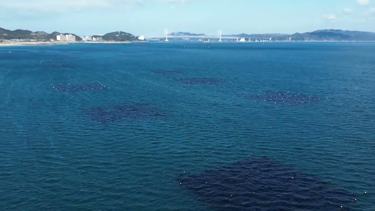 #竜宮の磯#徳島鳴門#四国