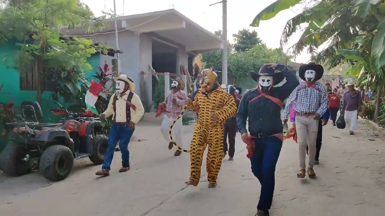 Danza del tigre en Cozoyoapan Guerrero 23 de julio de 2025