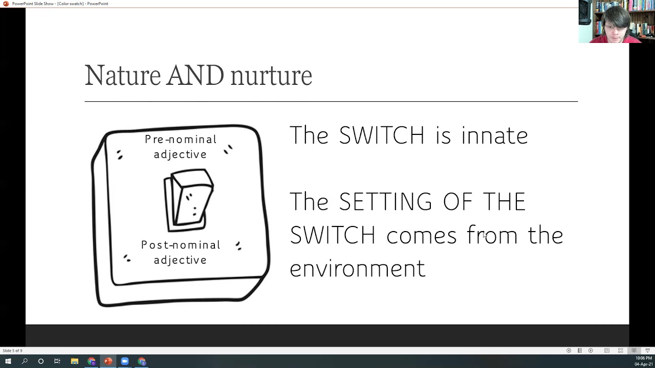 Principles and Parameters in 7 mins