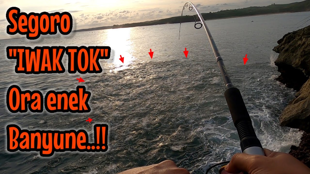 MOMEN YANG SANGAT SULIT DI TEMUI LAUT PENUH DENGAN IKAN