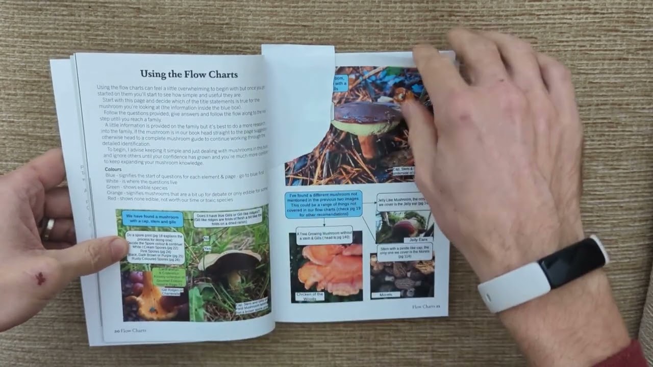 Identifying the Clitopilus / The Miller Mushrooms - Using a Quick Flow Chart