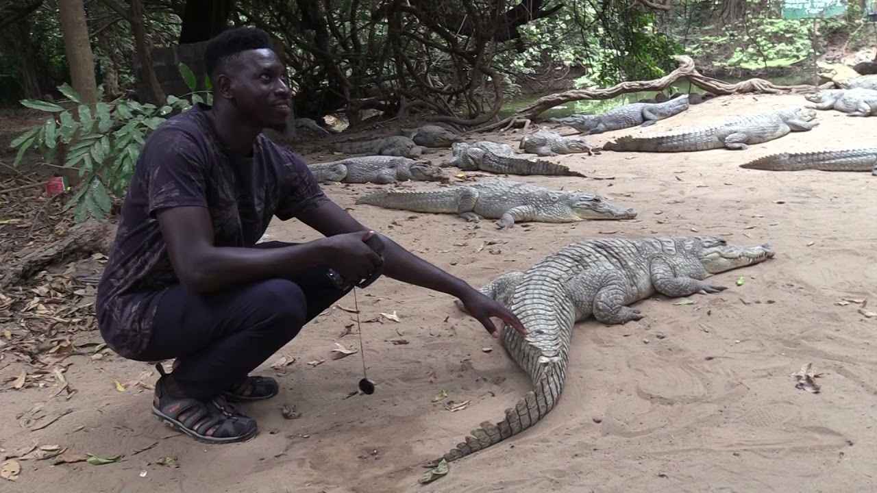 Gambia Banjul  Kololi