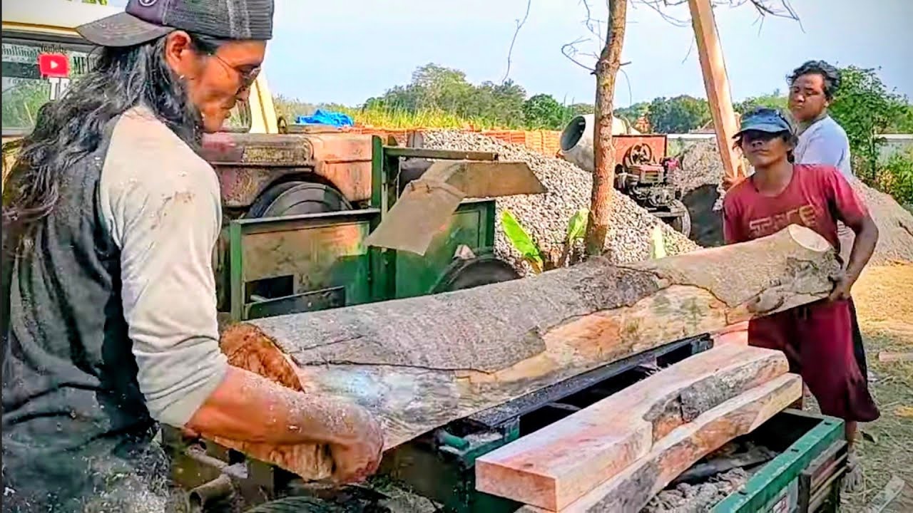 Menggergaji kayu mati berdiri pinggir jalan !!