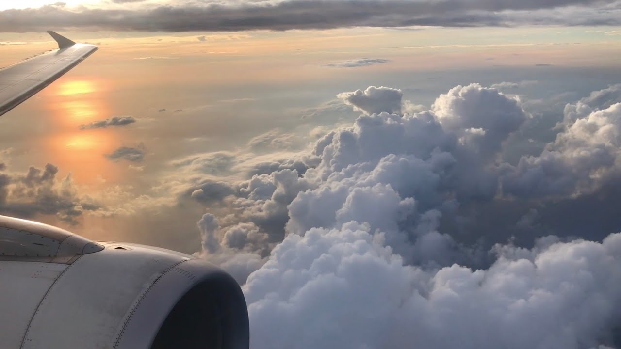 PAL EXPRESS | PUERTO PRINCESA-MANILA ECONOMY CLASS | AIRBUS A320-200