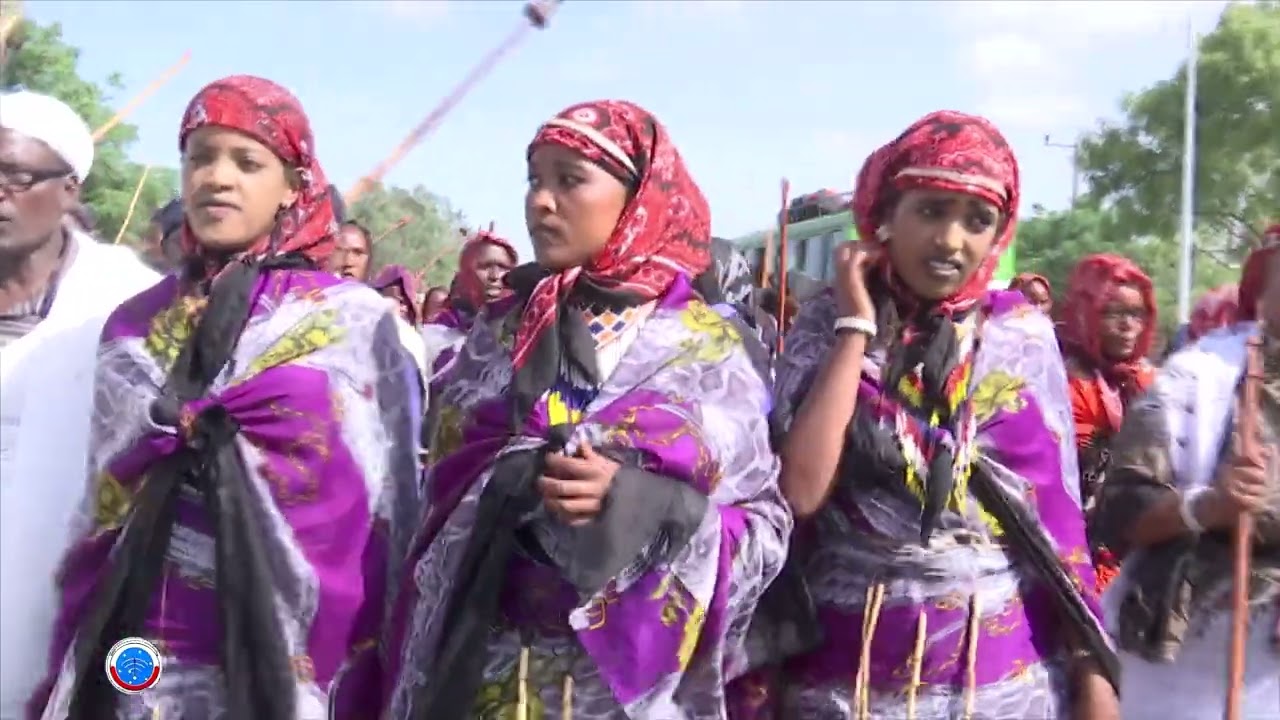 Duudhaa dhibaayyuu(Irreechaa) 